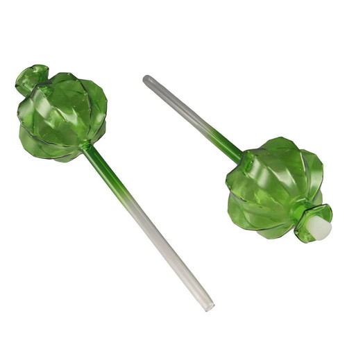 Plant self watering - plant,