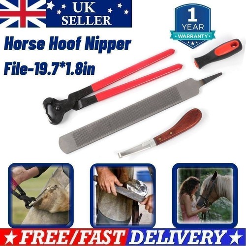 Farriers tools horse rasp hoof - tools,