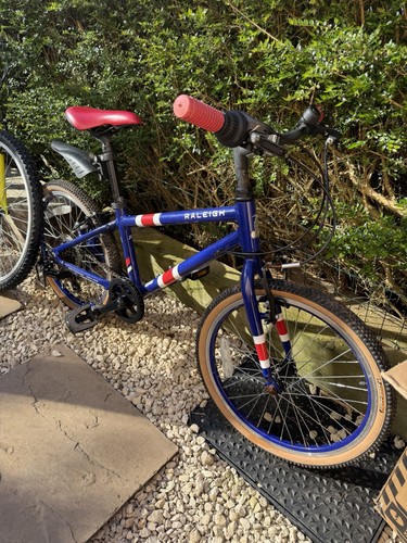 Raleigh pop kids inch blue - kids',