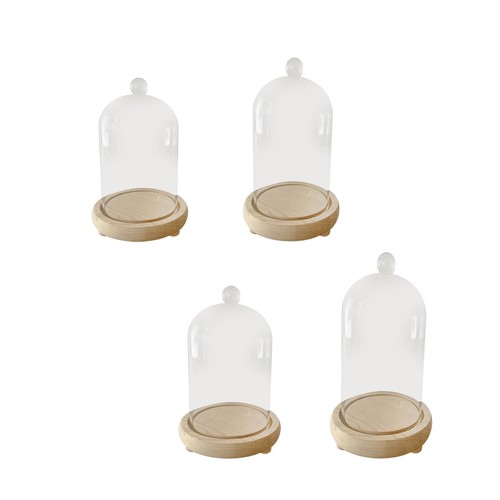 Cloche glass dome - cloche, bell