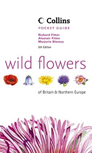 Wild flowers britain - wild, of
