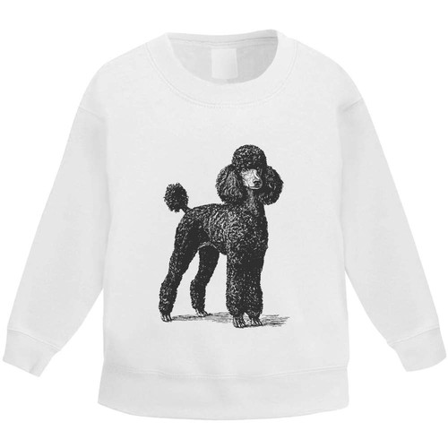 Black poodle standing kids - poodle,