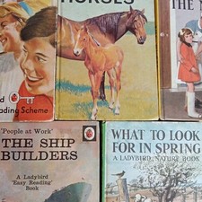 Vintage ladybird books - vintage,