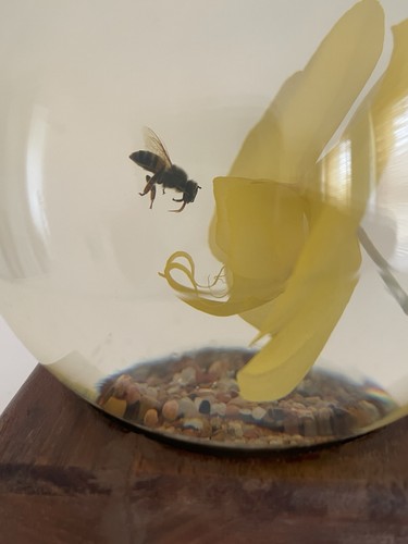 Rare retro bee - rare,