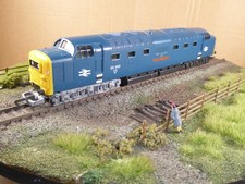 Lima  00 Gauge BR Class 55