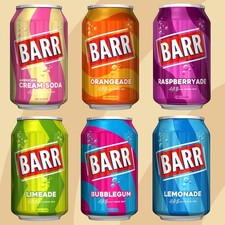 BARR since 1875, 24 pack Fizzy