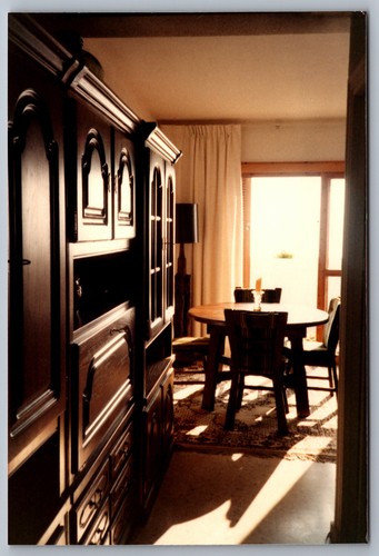 Vintage european dining room - dining,