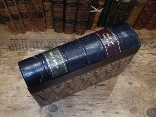 1885 the illustrated book - (aa),
