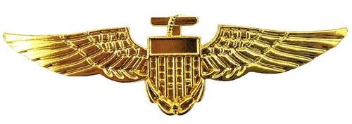 Gold metal aviator airline - aviator,