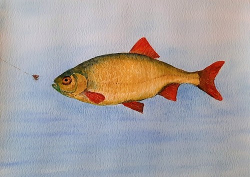 Watercolour painting a - watercolour,