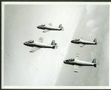 Royal Air Force Red Pelicans