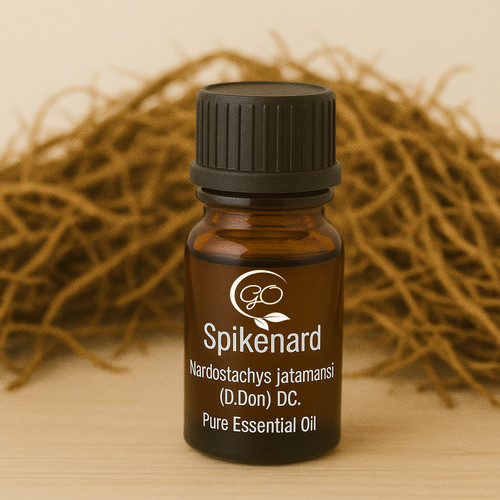 Spikenard essential oil - essential, –