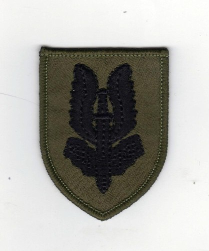 Special air service - air,