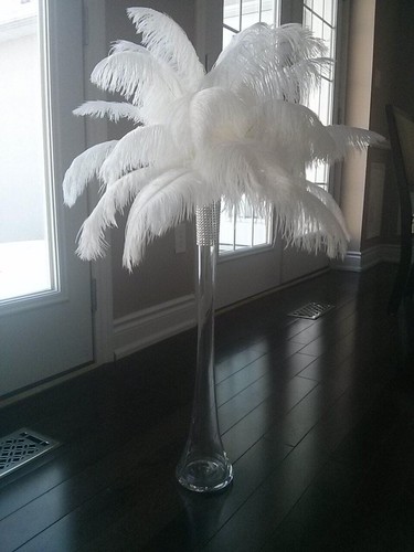 White ostrich feather - 10,