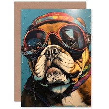 Biggles the Bulldog Goggles