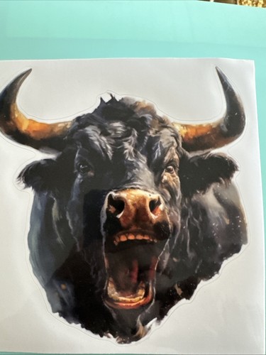 Aberdeen angus black bull - aberdeen,