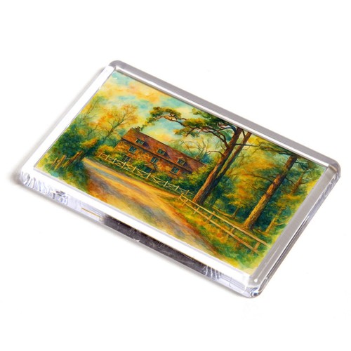 Fridge magnet stella - fridge,