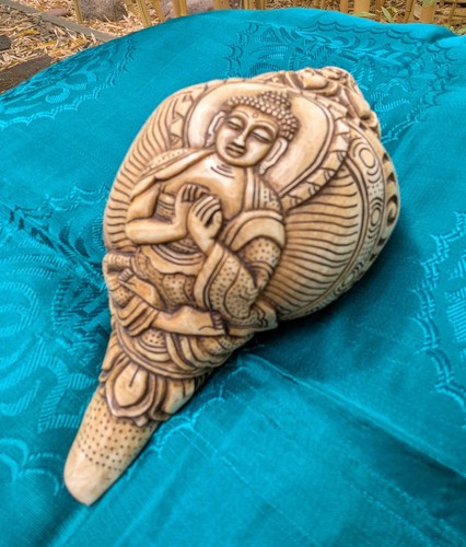 Huge unique tibetan shell - unique,