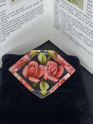 Vintage reverse carved rose - carved,