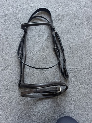 English leather bridle with - english,
