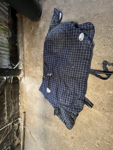 6ft stable rug - 3,