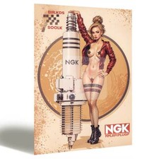 Metal Tin Signs Plaque Sexy