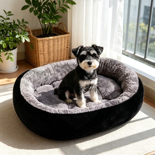 Pet dog bed donut - pet,