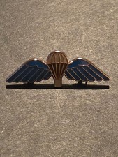 Parachute Wings and Shute pin