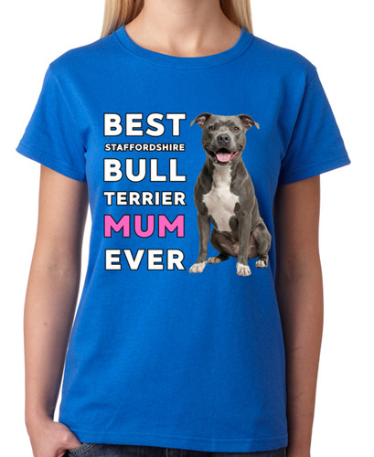 Best staffordshire bull - best,