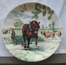 Wedgewood Collectors Plate.