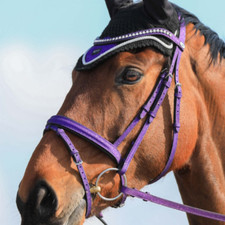 Sparkle Bridle & Brow Band