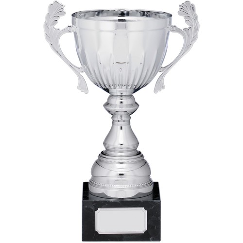 Silver presentation cup - presentation,