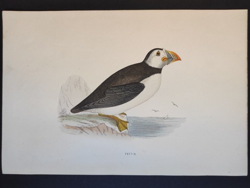 Puffin history british - puffin,,