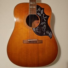 Gibson Hummingbird / Acoustic