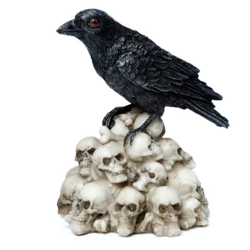 Crow raven standing - raven, pile