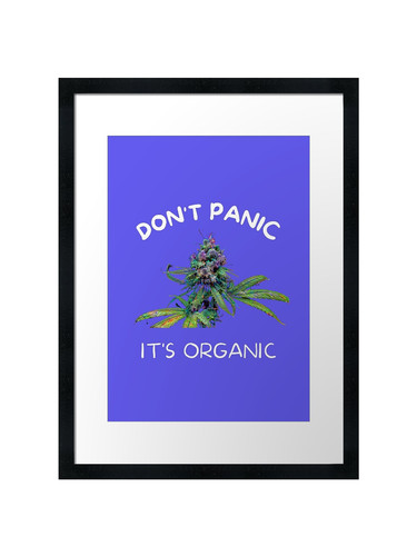Don panic organic 10 - organic,