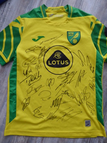 Norwich city signed football - norwich,