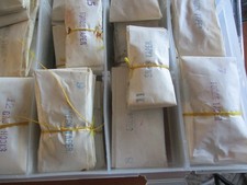 Collection of partridge