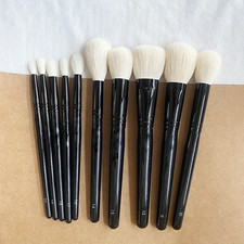 Wayne Goss 10 pcs Makeup Brush