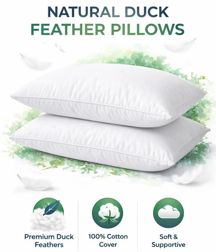 Duck feather down pillows - duck,