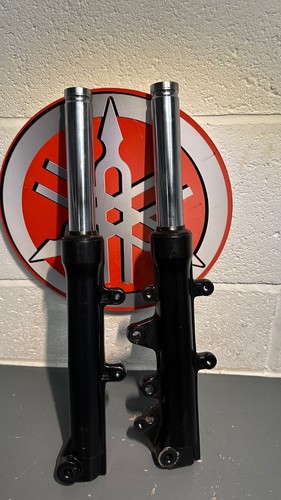 Yamaha max 125 2dp forks - yamaha,