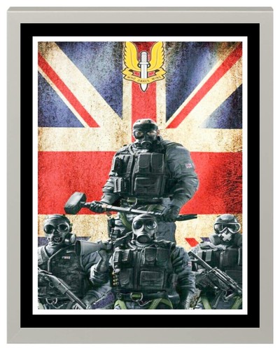 Sas special air - sas, service