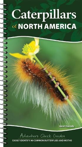 Caterpillars north america - caterpillars,
