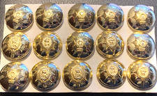 Worcestershire Regiment  Buttons x 15 Staybrite