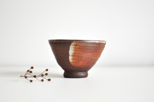 Stunning brown toned - brown,