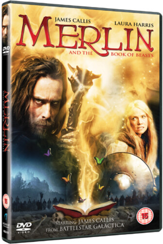 Merlin and the book beasts - merlin,