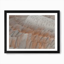 Coopers Hawk Feathers Art