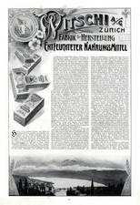 Witschi Lebensmittel Zurich XL