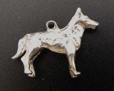 GERMAN SHEPHERD DOG Alsatian