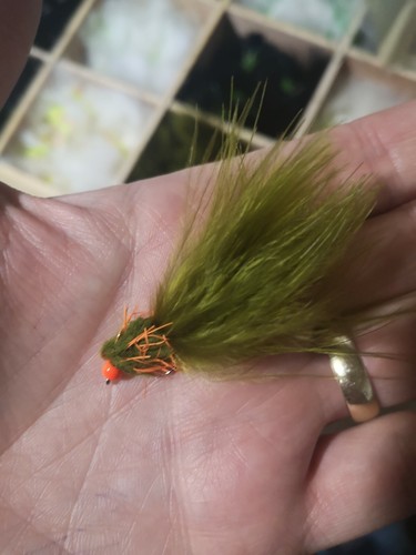 Eggstacy bleeding damsel trout - eggstacy,